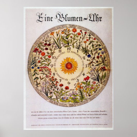 Blumenuhr Flower Clock Poster (Voorkant)