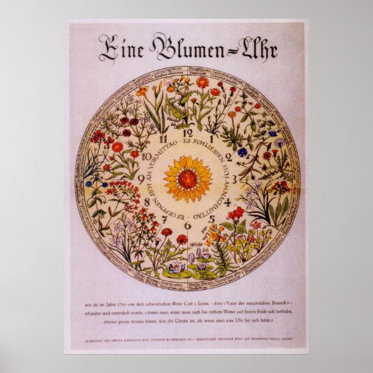 Blumenuhr Flower Clock Poster2 Poster (Voorkant)
