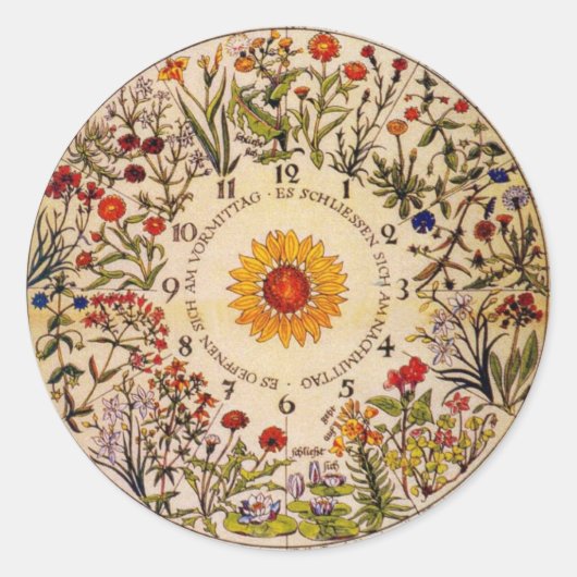 Blumenuhr Flower Clock Sticker (Voorkant)
