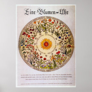    BlumenuhrFlower-klok Poster