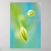 Blurred Curiosity Poster (Voorkant)