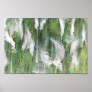 Blurred Motion Grass Natuur Abstract Poster