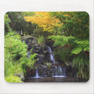 Blurred Rock Waterfall, Maple Green & Oranje Trees Muismat