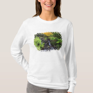 Blurred Rock Waterfall, Maple Green & Oranje Trees T-shirt