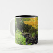 Blurred Rock Waterfall, Maple Green & Oranje Trees Tweekleurige Koffiemok (Voorkant links)