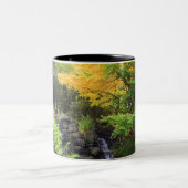 Blurred Rock Waterfall, Maple Green & Oranje Trees Tweekleurige Koffiemok (Center)