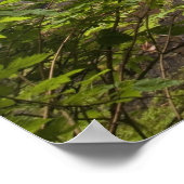 Blurred Waterfall en Forest Uitzicht in Oregon Poster (Hoek)