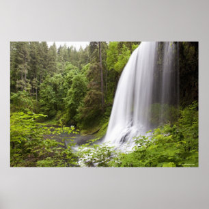 Blurred Waterfall en Forest Uitzicht in Oregon Poster