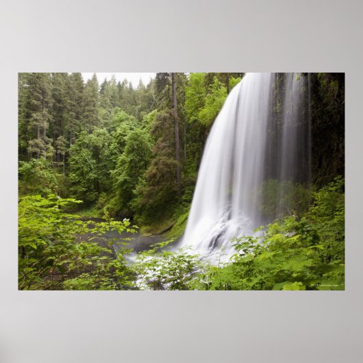 Blurred Waterfall en Forest Uitzicht in Oregon Poster (Voorkant)