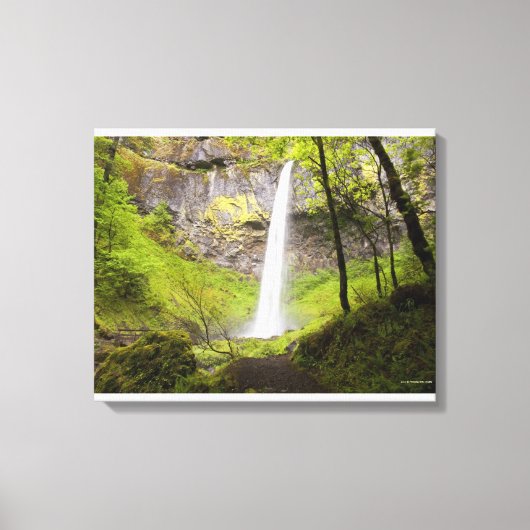 Blurred Waterfall in Oregon rond Lush Greenery Canvas Afdruk (Voorkant)