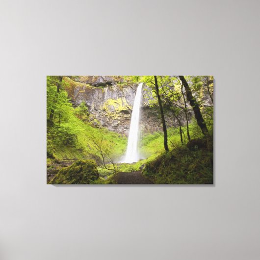 Blurred Waterfall in Oregon rond Lush Greenery Canvas Afdruk (Voorkant)