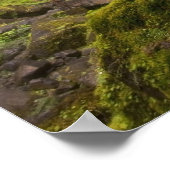 Blurred Waterfall in Oregon rond Lush Greenery Poster (Hoek)