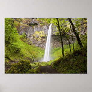 Blurred Waterfall in Oregon rond Lush Greenery Poster