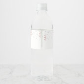 Blush and Silver Balloons Birthday  Waterfles Etiket (Achterkant)