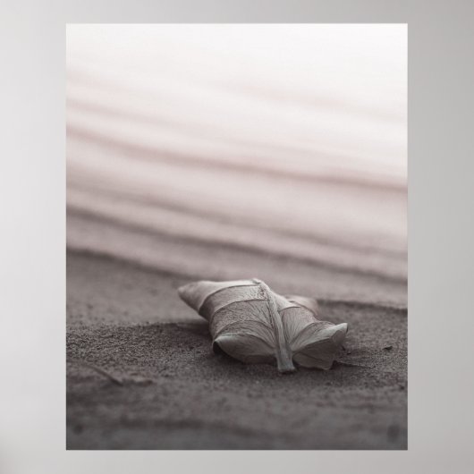 Blush Beach met Leaf Poster (Voorkant)