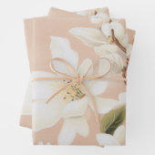 "Blush Bloom Gift Wrap" Inpakpapier Vel (In situ)