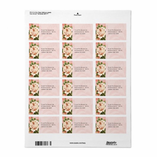 Blush Botanische  Roos Adres Etiket (Full Sheet)