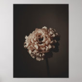 Blush Bouquet Study Poster (Voorkant)