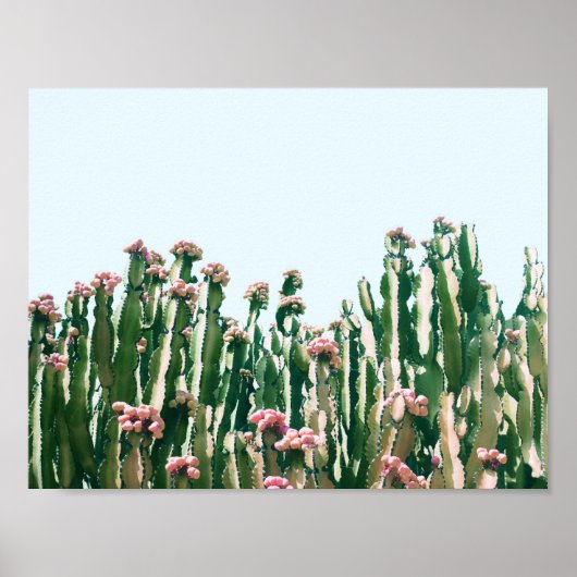 Blush Cactus Poster (Voorkant)