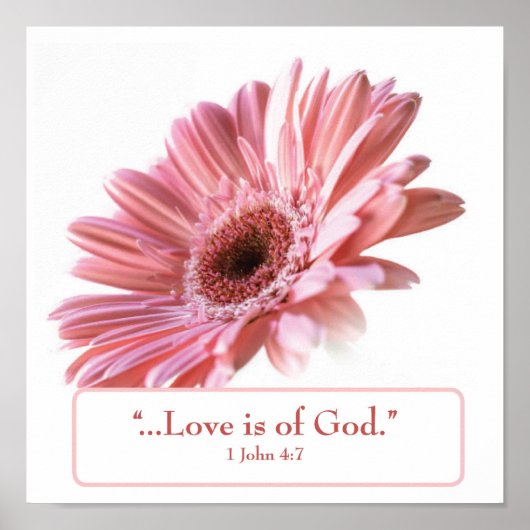 "Blush" Daisy Poster (Voorkant)