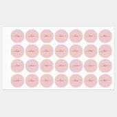 Blush Dusty Pink Modern Script Girly Monogram Naam Labels (Vel)