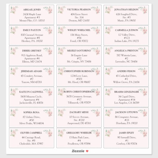 Blush Floral Pink Weddenschap adresetiketten Sticker (Vel)