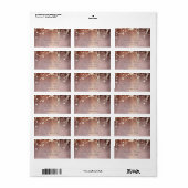 Blush Flowers String Lights Etiket (Full Sheet)