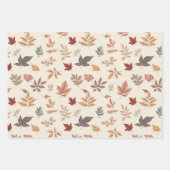 Blush Herfstbladeren Patroon Inpakpapier Vel (Voorkant)