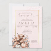 Blush Highland koe is een meisje pompoen Kaart (Voorkant)