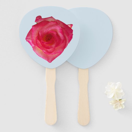 Blush-kleurig roos op een handventilator handwaaier (Voorkant en achterkant)
