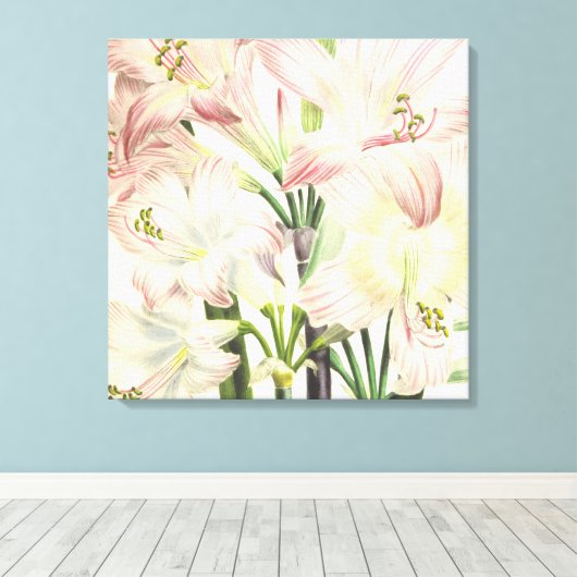 Blush Lilies Canvas Afdruk (Insitu (Houten vloer))