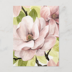 Blush Magnolia Flowers Briefkaart