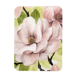 Blush Magnolia Flowers Magneet