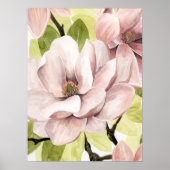 Blush Magnolia Flowers Poster (Voorkant)