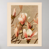  Blush Magnolias Poster (Voorkant)