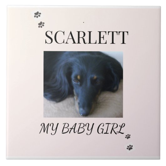 Blush Minimal Pet 1 Photo with Paw Prints Tegeltje (Voorkant)