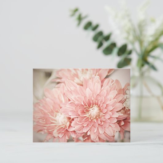Blush Mums Briefkaart (Staand voorkant)