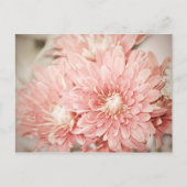 Blush Mums Briefkaart (Voorkant)