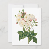 Blush Noisette Roos door Redoute Uitnodiging (Voorkant)