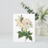 Blush Noisette Roos door Redoute Uitnodiging (Staand voorkant)