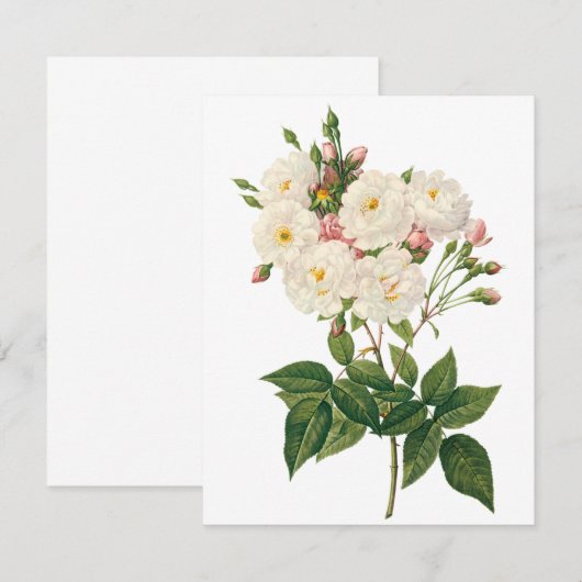 Blush Noisette Roos door Redoute Uitnodiging (Voorkant / Achterkant)