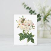 Blush Noisette Roos door Redoute Uitnodiging (Staand voorkant)