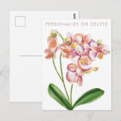   Blush Orchide Waterverf Chic Bloemstuk Persoonli Briefkaart (Voorkant / Achterkant)