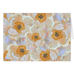 Blush Peony-Kaart