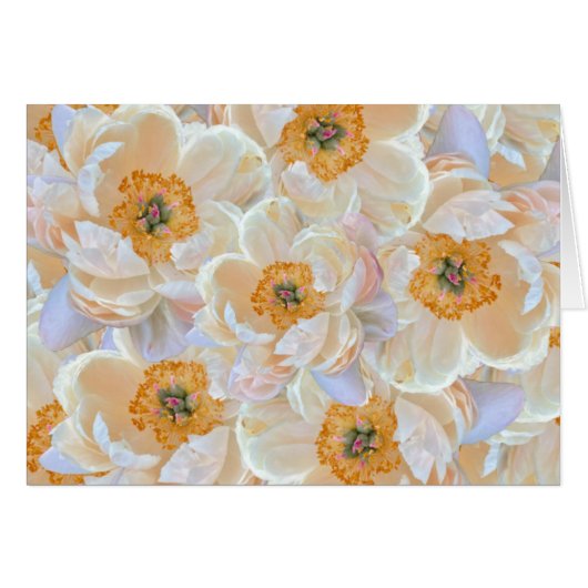 Blush Peony-Kaart (Voorkant Horizontaal)