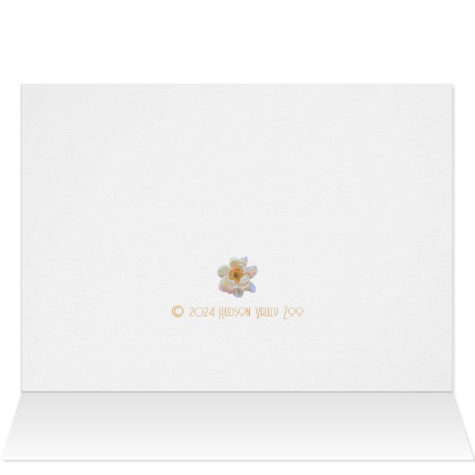 Blush Peony-Kaart (Binnen Horizontaal (Boven))