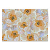 Blush Peony-Kaart (Voorkant Horizontaal)