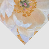 blush peony tissue tissuepapier (Detail)