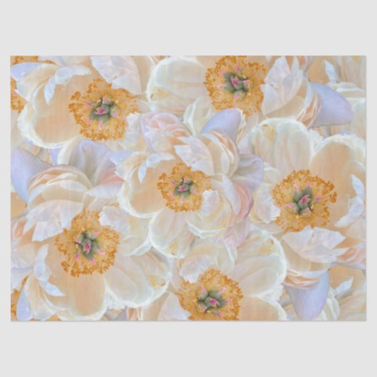 blush peony tissue tissuepapier (Voorkant)