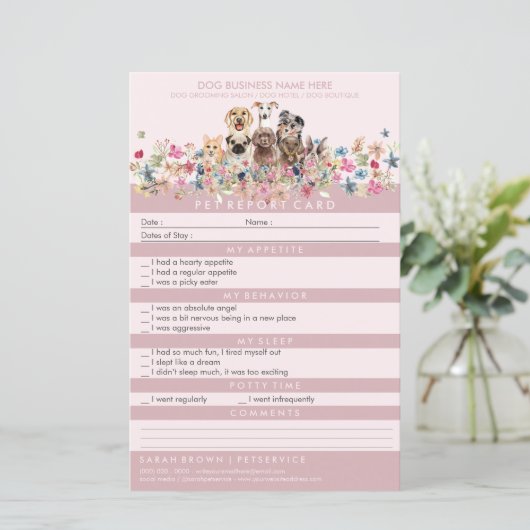 Blush Pet Sitter Groomer Dogs (Staand voorkant)